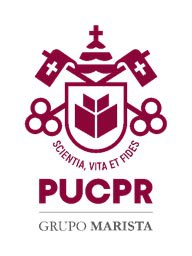 Logo piccolo PUCPR