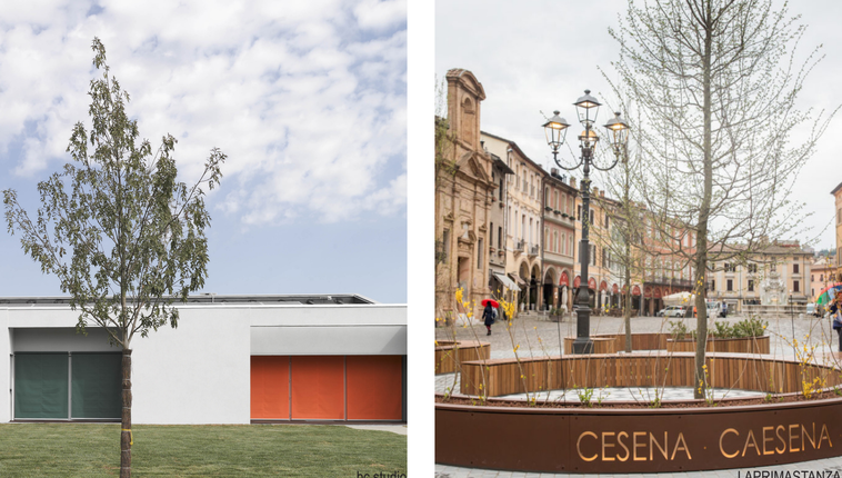 Tirocini: orientamento al lavoro e presentazioni aziendali