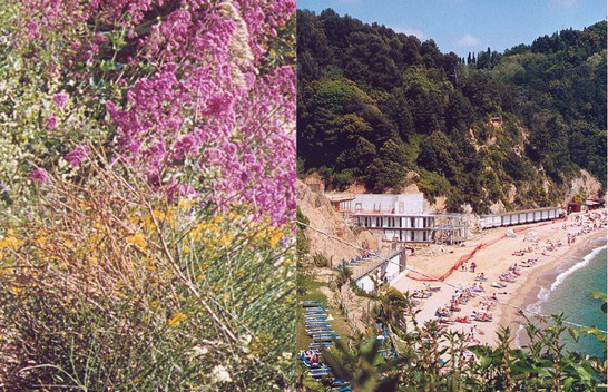 Riflessioni sulle responsabilità dell’attività costruttiva nei confronti dell’ambiente alle diverse scale. Architettura come parte del sistema ambientale-territoriale Riflessioni sulle responsabilità dell’attività costruttiva nei confronti dell’ambiente alle diverse scale. Architettura come parte del sistema ambientale-territoriale