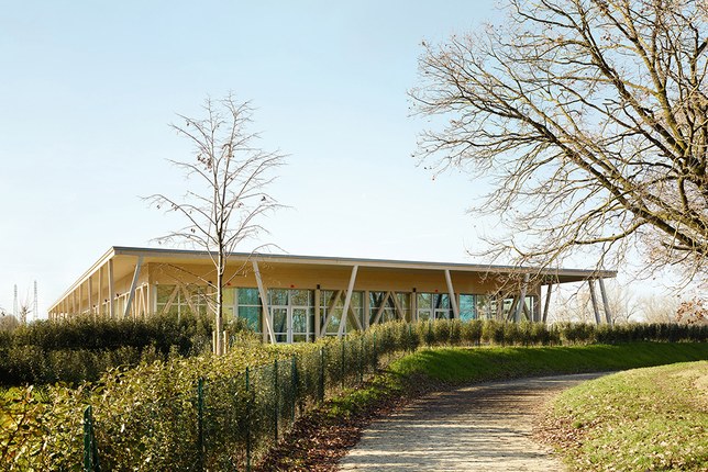 Learning practice. Enrico Molteni