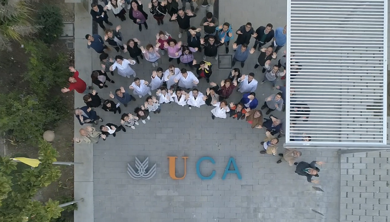Uca